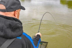 Preston Supera X Feederhengel 11ft 15 Preston Supera X Feederhengel 11ft -Exporteren Vis Kunsten Winkel 00bb640397431e82