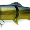 Castaic Hard Head - 6" Floating - Golden Shiner -Exporteren Vis Kunsten Winkel 05ae58a247ebad97