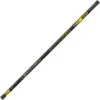 Garbolino Pole Silverfish 21 Vaste Hengel (10m) -Exporteren Vis Kunsten Winkel 0972db709d7f8727