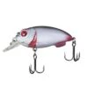 Korum Snapper Bug 5cm Roach 1 Korum Snapper Bug 5cm Roach -Exporteren Vis Kunsten Winkel 18876a2af9570c76