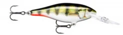 Rapala Shad Rap 9 Live Hologram Perch