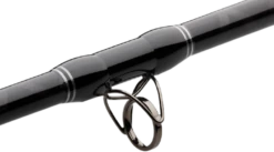 Madcat Black Cat-Stick 3,00m 150-300gr -Exporteren Vis Kunsten Winkel 23b7238bf9476bbd