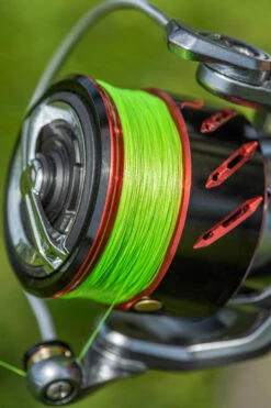 Korum Snapper Infernos SL Red Reel 2000 7+1bb 5,2:1 -Exporteren Vis Kunsten Winkel 24a15c26e8b0d4ae