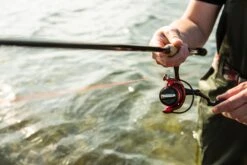 Ultimate Predator Spin & Jig 2,10m 10-30gr -Exporteren Vis Kunsten Winkel 2960c19f611ea8dd