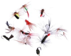 Ultimate Fly Selection 12pcs -Exporteren Vis Kunsten Winkel 29eb2c805babb0e7