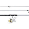Mitchell Tanager SW Surf Spinning Combo 4,50m (100-250g) 2 Mitchell Tanager SW Surf Spinning Combo 4,50m (100-250g) -Exporteren Vis Kunsten Winkel 2d94235519bc3710
