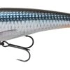 Savage Gear Freestyler V2 16cm 85gr Roach Slow Sink -Exporteren Vis Kunsten Winkel 33139b626a337169