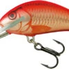 Salmo Hornet SDR 5cm - UV Orange Crush UPC -Exporteren Vis Kunsten Winkel 3a89173d8b5a74c7
