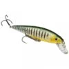 Strike King KVD Jerkbait 200 11,5cm 10,5gr Hook Phantom Perch 2 Strike King KVD Jerkbait 200 11,5cm 10,5gr Hook Phantom Perch -Exporteren Vis Kunsten Winkel 3ed587d83c027e7c