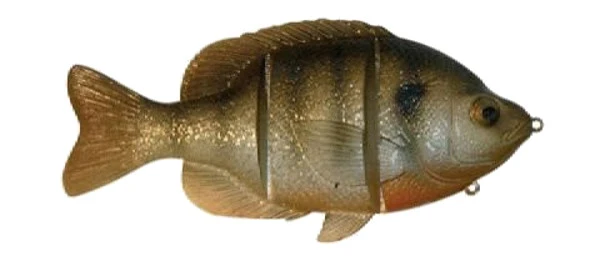 Castaic Platinum Series Rainbow FS 8" 4 Castaic Platinum Series Rainbow FS 8" - Afbeelding 2