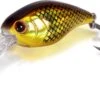 Magic Trout Hustle And Bustle Lake Forel Kunstaas Roach 2,7cm (1,1g) -Exporteren Vis Kunsten Winkel 453380ea6c793457