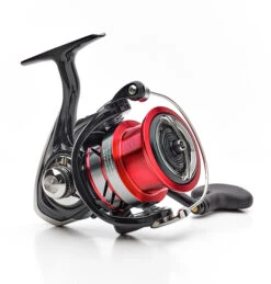 Daiwa 18 Ninja Feeder LT6000-SS -Exporteren Vis Kunsten Winkel 4fcf42805dc20072