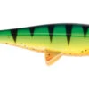 Jackson The Big Fish 30cm 1pcs - Firetiger -Exporteren Vis Kunsten Winkel 50c9f19d3adabe56 1