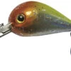 Behr Trendex Mini Pop Lure 2,5 Cm/ 4 Gr With Rattle 04 -Exporteren Vis Kunsten Winkel 52fbfdb1a28beba4