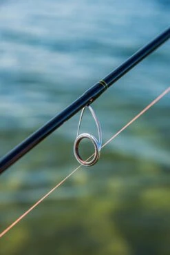 Ultimate Predator Spin & Jig 2,10m 10-30gr -Exporteren Vis Kunsten Winkel 5b0056eb3c81e473