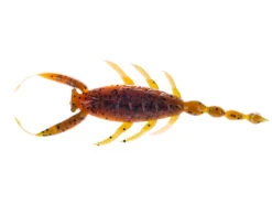 Molix SC Bug 4'' ( 5 Pcs ) Col. Orange Pumpkin