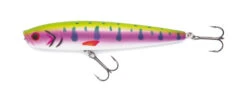 Jackson Minnow Pop Rainbow Trout