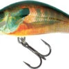Salmo Hornet 4cm Sinking - Real Sunfish 2 Salmo Hornet 4cm Sinking - Real Sunfish -Exporteren Vis Kunsten Winkel 61eddbe66c7732d9