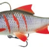 Fox Rage Realistic Replicant Roach 'Super Wounded' 18cm (85g) 2 Fox Rage Realistic Replicant Roach 'Super Wounded' 18cm (85g) -Exporteren Vis Kunsten Winkel 628dc9a43aafd39e