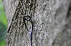 Ashima FFX-P 10ft 3lb 7 Ashima FFX-P 10ft 3lb -Exporteren Vis Kunsten Winkel 6d1300dab89f2583