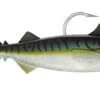 Jackson Sea The Mackerel Rigged Green Mackerel 23cm -Exporteren Vis Kunsten Winkel 6e513e2b61fa24c9