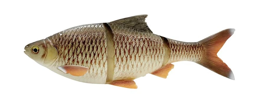 Savage Gear 4D Linethru Roach Bream 25cm, 216gr, Sinking 3 Savage Gear 4D Linethru Roach Bream 25cm, 216gr, Sinking