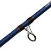 Mitchell Rod Riptide R 212 100/300 Dorade -Exporteren Vis Kunsten Winkel 7a1dd4b52902f182