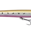 Savage Gear Surf Walker 2.0 Floating Zeevis Kunstaas Sunset Sardine 18cm -Exporteren Vis Kunsten Winkel 7c67442bc2ba26fa