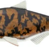 Storm R.I.P. Roach Burbot UV -Exporteren Vis Kunsten Winkel 7fc2f6b501ed7bc8