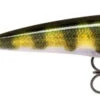 Rapala X-Rap 8cm Live Perch -Exporteren Vis Kunsten Winkel 81f71308fb24c3ba