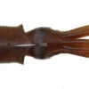 Savage Gear 3D Swim Squid 9,5cm 10gr Sinking TPE Red/Brown (2pcs) 1 Savage Gear 3D Swim Squid 9,5cm 10gr Sinking TPE Red/Brown (2pcs) -Exporteren Vis Kunsten Winkel 873ae9f796bb37e7