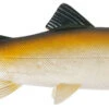 Uni Cat Trout 15cm BT -Exporteren Vis Kunsten Winkel 8c882779d04de4e2