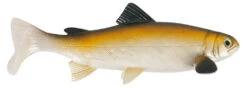 Uni Cat Trout 15cm BT