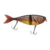 Berkley Zilla Jointed Glider 135 Brown Trout -Exporteren Vis Kunsten Winkel 9284574f67ad7fb2