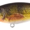 Spro Ikiru Shad LL 7,0cm 11gr Suspending 2m Perch -Exporteren Vis Kunsten Winkel 92dc8fe4e47c26cb