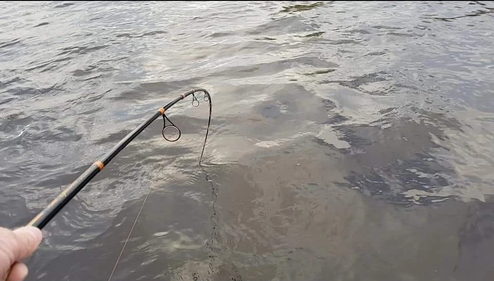 Patriot Pike Specialist Spinhengel 2.44m (15-75g) 3 Patriot Pike Specialist Spinhengel 2.44m (15-75g)