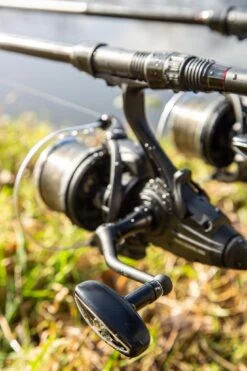 Ultimate Fanatic Freespool 10000 -Exporteren Vis Kunsten Winkel 9cdeef2509db6cf9