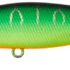 Illex Squad Minnow 65 SP Mat Tiger 2 Illex Squad Minnow 65 SP Mat Tiger -Exporteren Vis Kunsten Winkel b76106378fe8914f