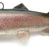 Castaic Swimbait Trout Sinking Rainbow Trout 15cm 2 Castaic Swimbait Trout Sinking Rainbow Trout 15cm -Exporteren Vis Kunsten Winkel b9e02db77631b77d