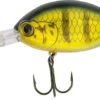 Quantum Fat Minnow DR Hot Perch 4cm (6g) -Exporteren Vis Kunsten Winkel beff634379f0393f