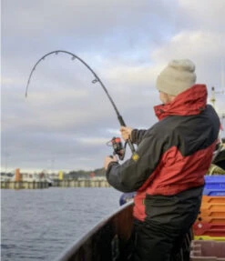 Rhino Reliance 85 Saltwater 8 Rhino Reliance 85 Saltwater -Exporteren Vis Kunsten Winkel c16a1c7fa9b2636f