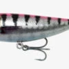 Savage Gear 3D Minnow Pop Walker 8cm 14g F Pink Barracuda PHP 1 Savage Gear 3D Minnow Pop Walker 8cm 14g F Pink Barracuda PHP -Exporteren Vis Kunsten Winkel c2628699df9eae7c