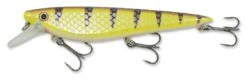 Musky Armor Krave 25cm 1-2,5m Walleye(shallow Running Crankbait)