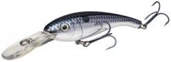 Strike King Bonsai Shad 4" Chrome Blue