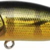 Megabass Popx Gg Peacock -Exporteren Vis Kunsten Winkel c5792faae47747b0