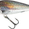 Salmo Perch Floating Plug Holo Grey Shiner 14cm 2 Salmo Perch Floating Plug Holo Grey Shiner 14cm -Exporteren Vis Kunsten Winkel c829cd8c5e35e8cc