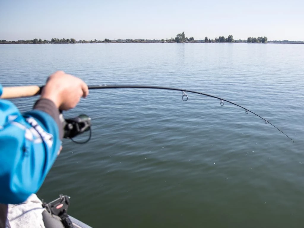 Patriot Ace Doodaashengel 10ft (3lb) 3 Patriot Ace Doodaashengel 10ft (3lb)