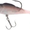 Balzer Shirasu Softbait Set 11 Cm -Exporteren Vis Kunsten Winkel d1e7a1060649c882