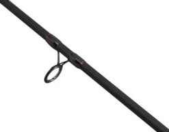 Berkley Cherrywood Spezi Eel Hengel 2.40m (30-60g)