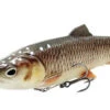 Savage Gear 4D Line Thru Pulsetail Trout Slow Sinking Lemon Chub 25cm (202g) 2 Savage Gear 4D Line Thru Pulsetail Trout Slow Sinking Lemon Chub 25cm (202g) -Exporteren Vis Kunsten Winkel e119bb90b3c3cb8f